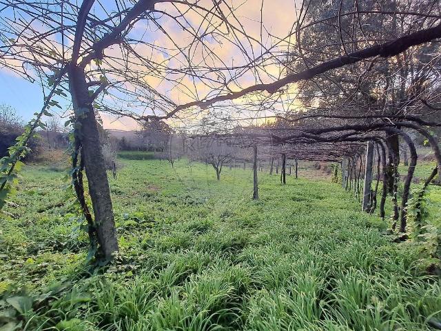 Terreno à venda em Rebordões Souto, Ponte de Lima RE/MAX Portugal
