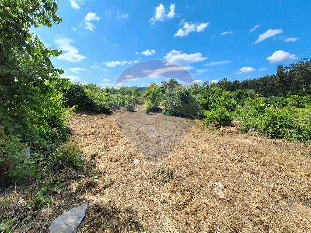 Terreno à venda em Rebordões Souto, Ponte de Lima RE/MAX Portugal