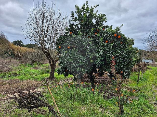 Terreno à venda em Ponte de Sor, Tramaga e Vale de Açor, Ponte de Sor RE/MAX Portugal