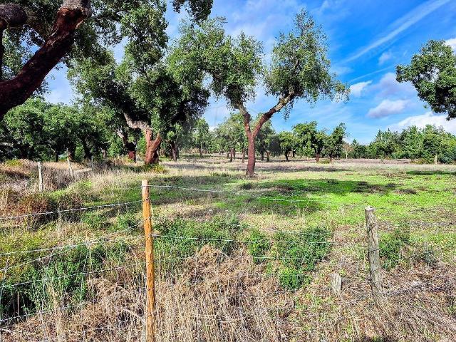 Terreno à venda em Ponte de Sor, Tramaga e Vale de Açor, Ponte de Sor RE/MAX Portugal