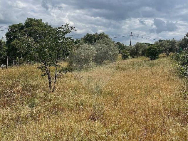 Terreno à venda em Ponte de Sor, Tramaga e Vale de Açor, Ponte de Sor RE/MAX Portugal