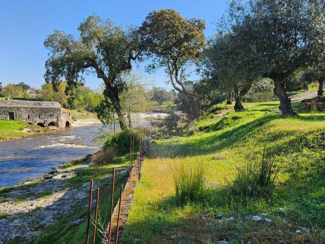 Terreno à venda em Ponte de Sor
