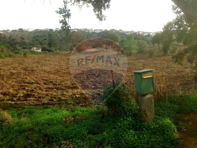 Terreno à venda em Ponte de Sor
