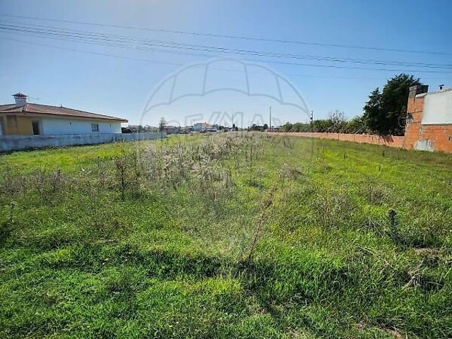 Terreno à venda em Ponte de Vagos e Santa Catarina, Vagos RE/MAX Portugal