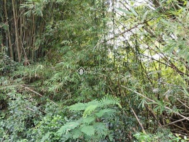Terreno à venda em Porto Alegre Ilha