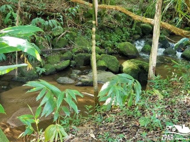 Terreno à venda em Porto Alegre RS, Vila Nova 6.397,00 m² de área disponível!