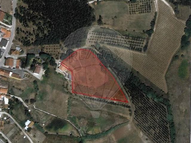 Terreno à venda em Porto de Mós São João Baptista e São Pedro, Porto de Mós RE/MAX Portugal