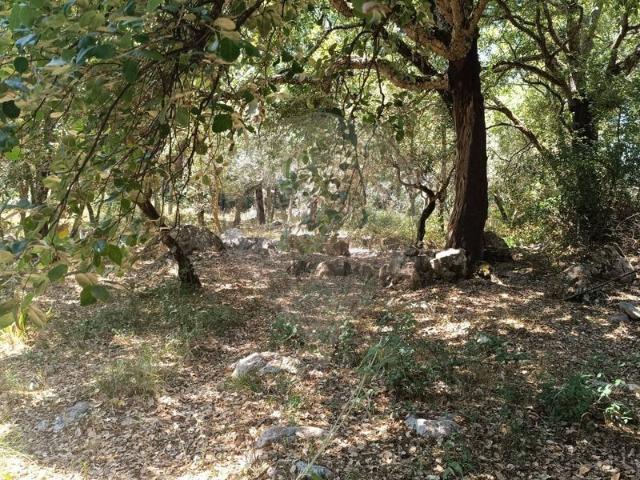 Terreno à venda em Porto de Mós