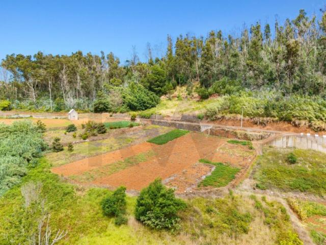 Terreno à venda em Porto Moniz | 1.720 m²