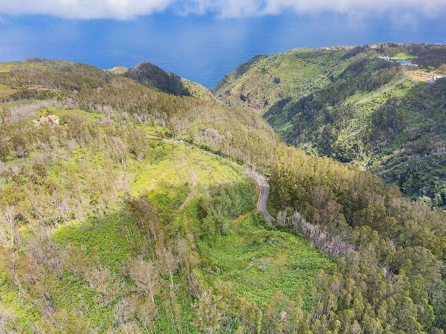 Terreno à venda em Porto Moniz, Porto Moniz RE/MAX Portugal