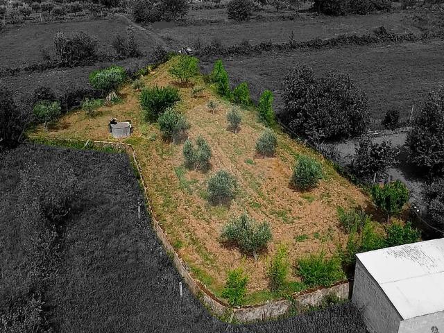 Terreno à venda em Paul, Covilhã RE/MAX Portugal