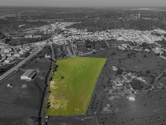 Terreno à venda em Pavia, Mora RE/MAX Portugal