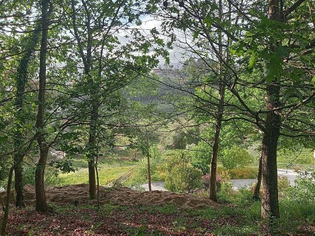 Terreno à venda em Paçô, Arcos de Valdevez RE/MAX Portugal
