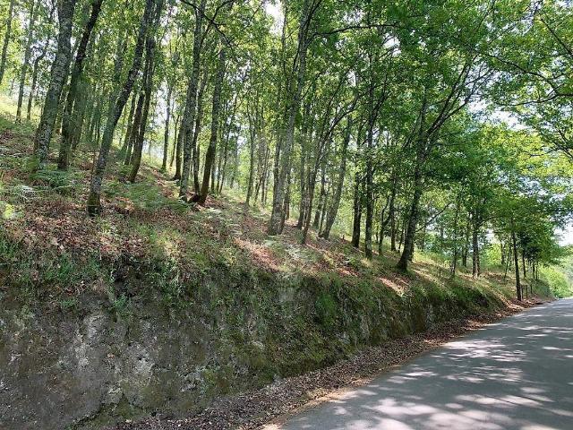 Terreno à venda em Paçô, Arcos de Valdevez RE/MAX Portugal