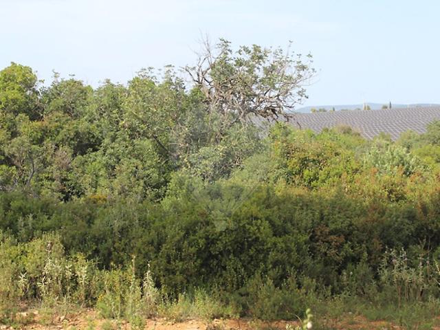 Terreno à venda em Paderne, Albufeira RE/MAX Portugal