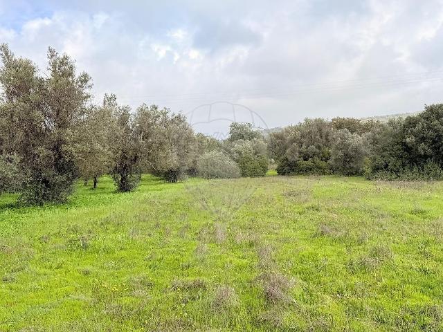 Terreno à venda em Paderne, Albufeira RE/MAX Portugal