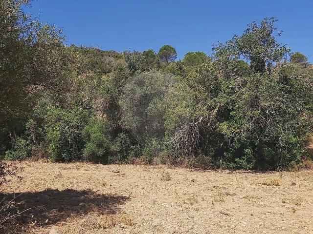 Terreno à venda em Paderne, Albufeira RE/MAX Portugal