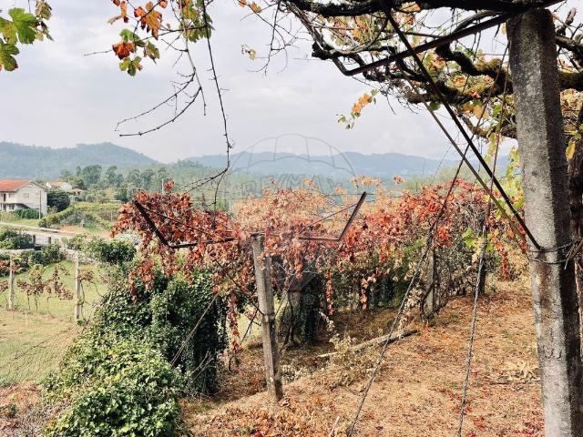 Terreno à venda em Padim
