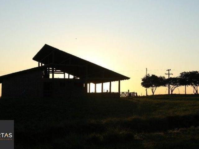 Terreno à venda em Padre Elly