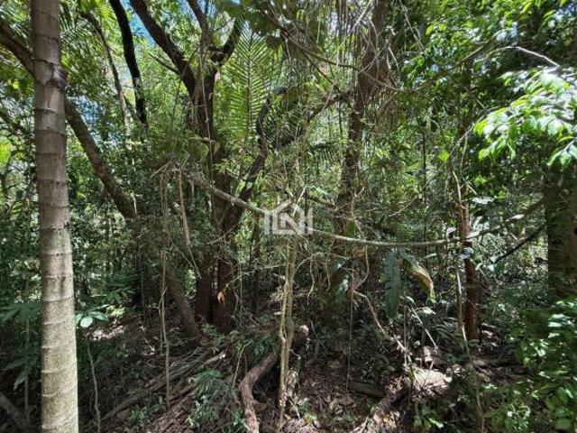 Terreno à venda em Paisagem Renoir
