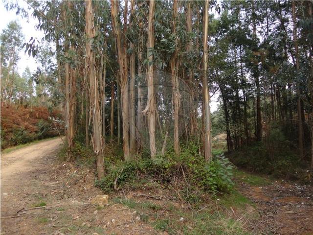 Terreno à venda em Pala, Mortágua RE/MAX Portugal