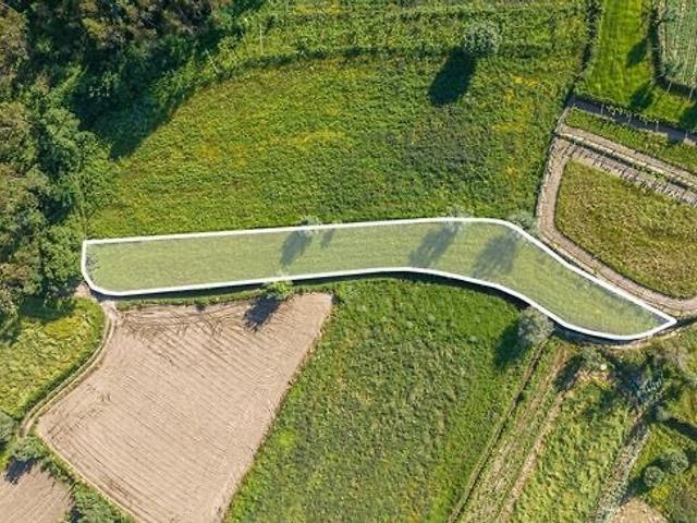 Terreno à venda em Palme, Barcelos RE/MAX Portugal
