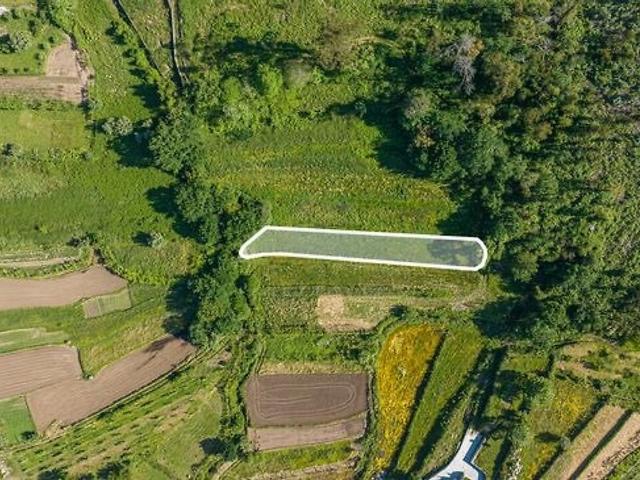 Terreno à venda em Palme, Barcelos RE/MAX Portugal