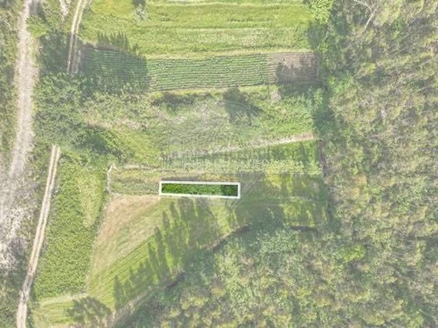 Terreno à venda em Palme, Barcelos RE/MAX Portugal