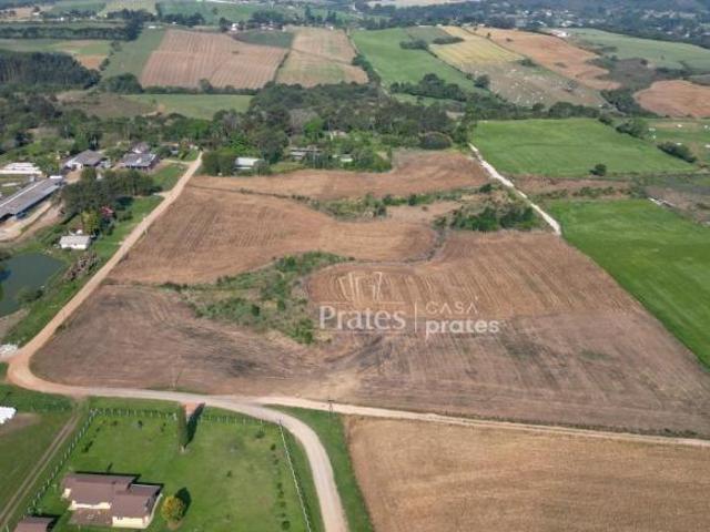 Terreno à venda em Palmeira