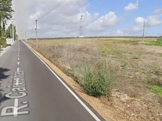 Terreno à venda em Palmela