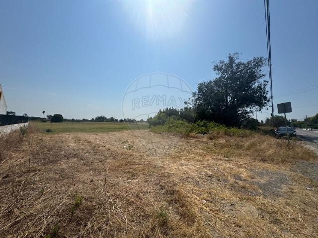 Terreno à venda em Palmela