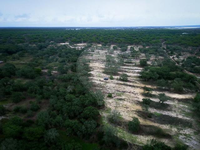 Terreno à venda em Palmela