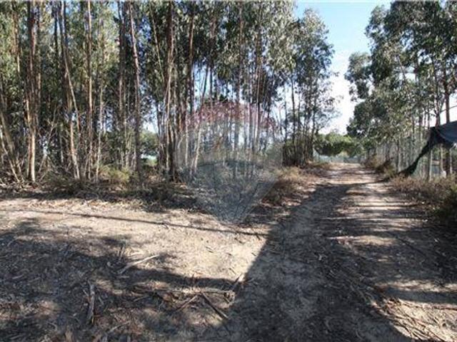 Terreno à venda em Palmela