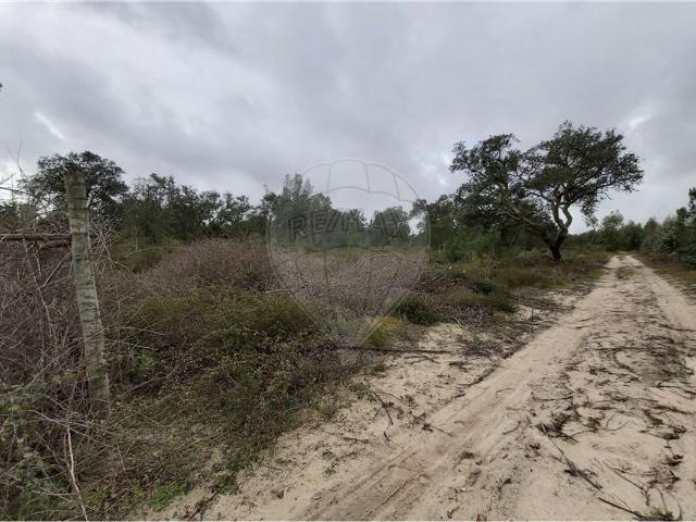 Terreno à venda em Palmela