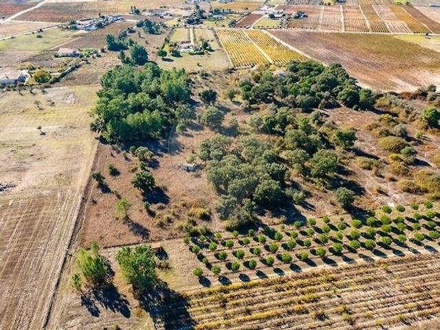 Terreno à venda em Palmela, Palmela RE/MAX Portugal