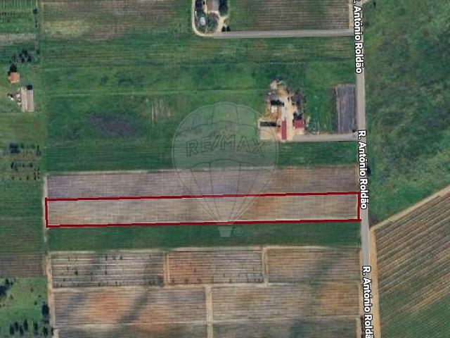 Terreno à venda em Palmela, Palmela RE/MAX Portugal