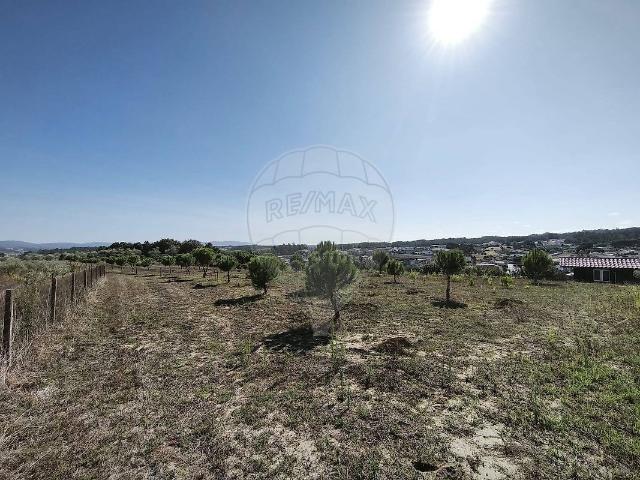 Terreno à venda em Parceiros e Azoia, Leiria RE/MAX Portugal