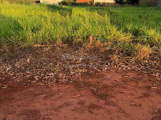 Terreno à Venda em Paranapuã/SP
