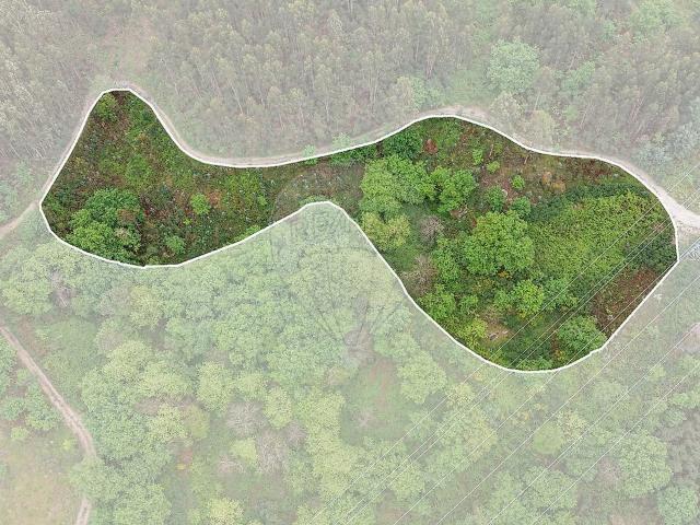Terreno à venda em Parada do Bouro, Vieira do Minho RE/MAX Portugal