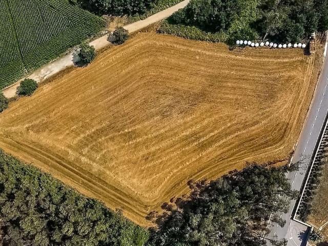 Terreno à venda em Paradela, Barcelos RE/MAX Portugal