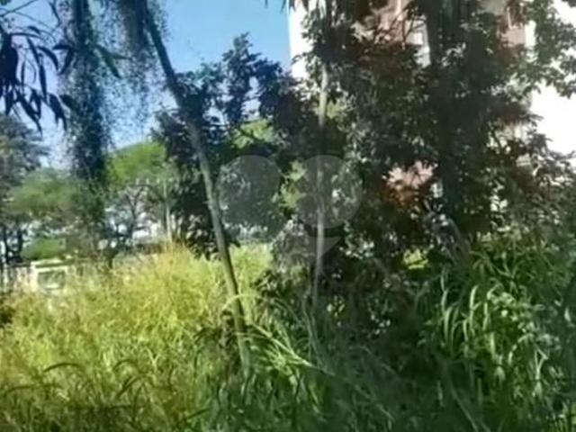 Terreno à venda em Paraisópolis SP