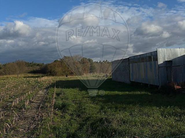 Terreno à venda em Pardilhó, Estarreja RE/MAX Portugal