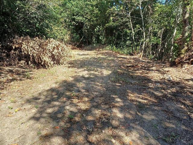 Terreno à venda em Paredes de Viadores e Manhuncelos, Marco de Canaveses RE/MAX Portugal