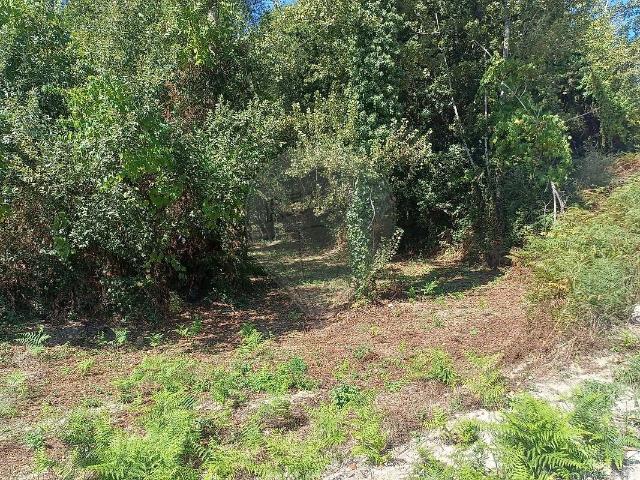 Terreno à venda em Paredes de Viadores e Manhuncelos, Marco de Canaveses RE/MAX Portugal