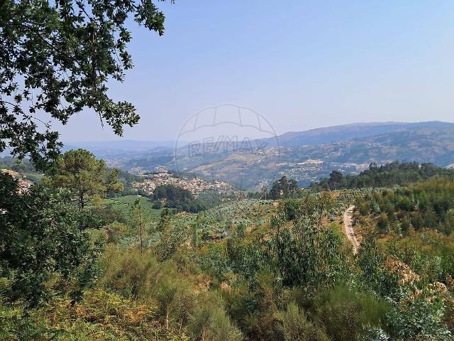 Terreno à venda em Paredes de Viadores e Manhuncelos, Marco de Canaveses RE/MAX Portugal