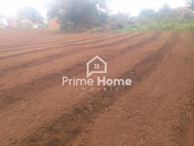 terreno à venda em Parque Novo Mundo