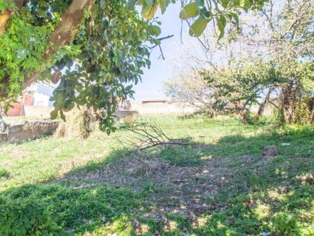 terreno à venda em Parque Jambeiro
