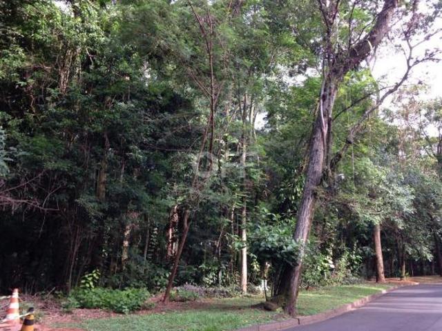 terreno à venda em Parque Sao Quirino