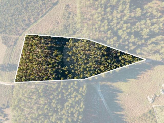 Terreno à venda em Passos, Fafe RE/MAX Portugal