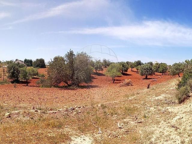 Terreno à venda em Pechão, Olhão RE/MAX Portugal